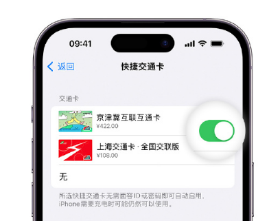 安平apple维修点分享iPhone上更换Apple Pay快捷交通卡手绘卡面 