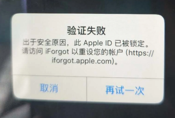 安平iPhone维修分享iPhone上正常登录或使用AppleID怎么办 