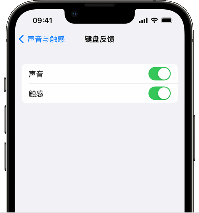 安平苹果14维修店分享如何在 iPhone 14 机型中使用触感键盘 