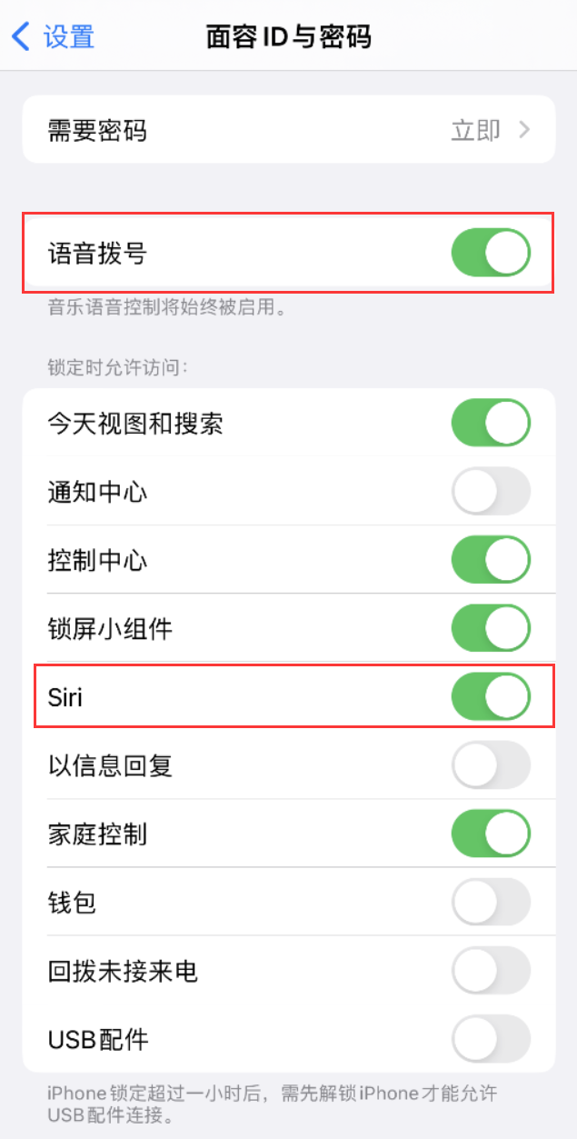 安平苹果维修网点分享不解锁 iPhone 的情况下通过 Siri 拨打电话的方法 