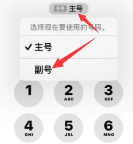 安平苹果14维修店分享iPhone 14 Pro Max使用副卡打电话的方法 