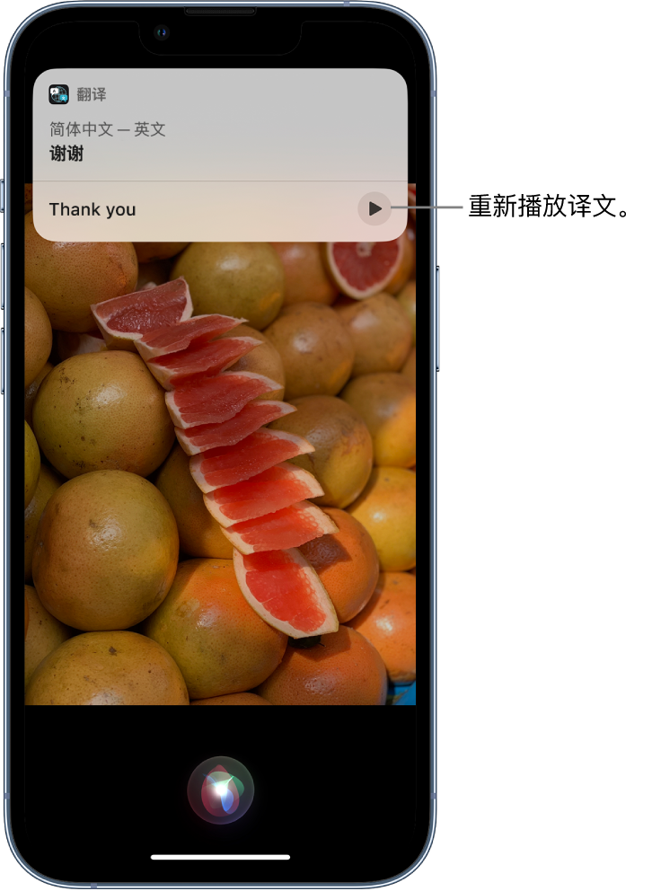 安平苹果14维修分享 iPhone 14 机型中使用 Siri：了解 Siri 能帮你做什么 