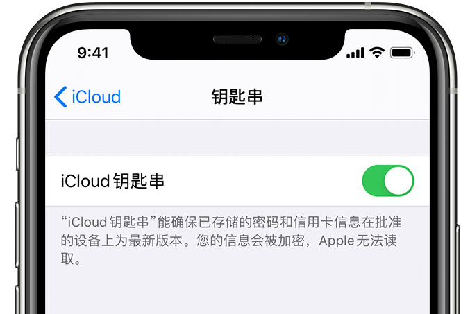 安平苹果手机维修分享在 iPhone 上开启 iCloud 钥匙串之后会储存哪些信息 