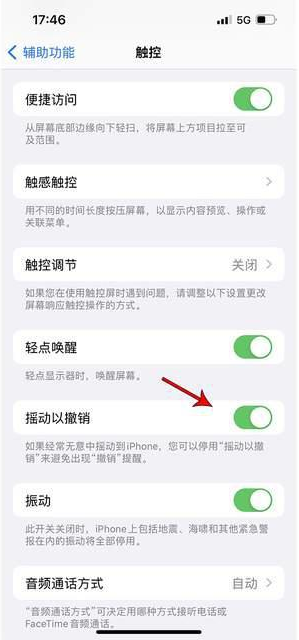 安平苹果手机维修分享iPhone手机如何设置摇一摇删除文字 