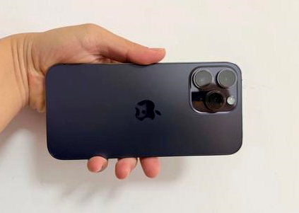 安平苹果维修点分享iPhone 14 Pro Max黑屏少见故障盘点 
